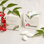 Bomboniera Botanica Grigio