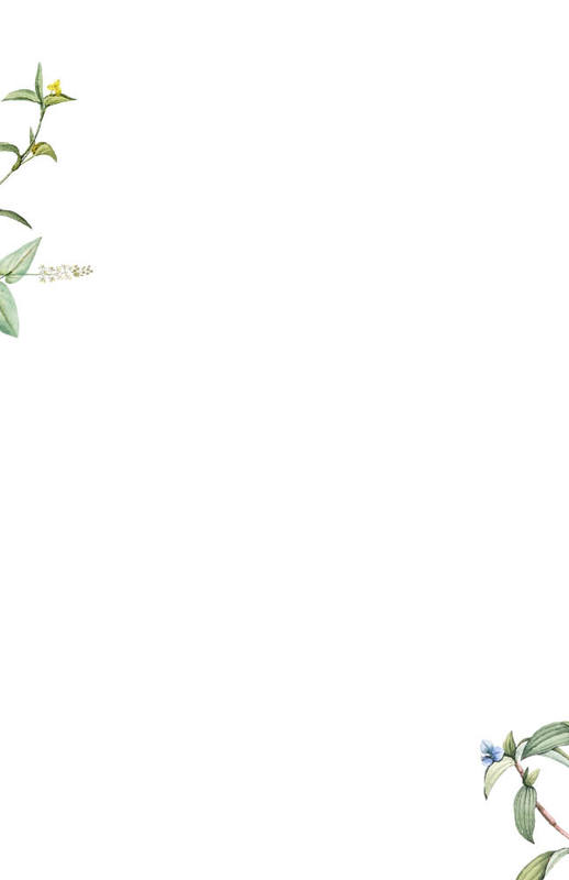 Partecipazione Cofanetto Semplice Trasparente Botanico