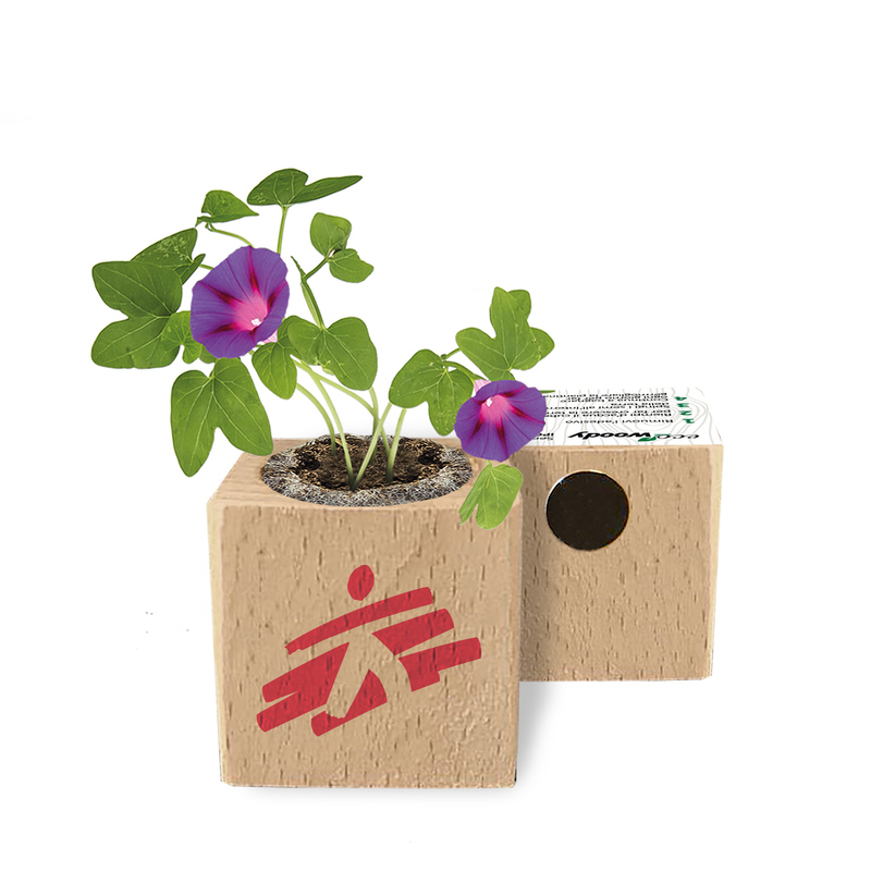 Magnete Decorativo con Semi di Fiori