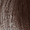 4.3 castano dorato