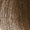 8.3 biondo chiaro dorato