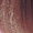 7.4 biondo ramato