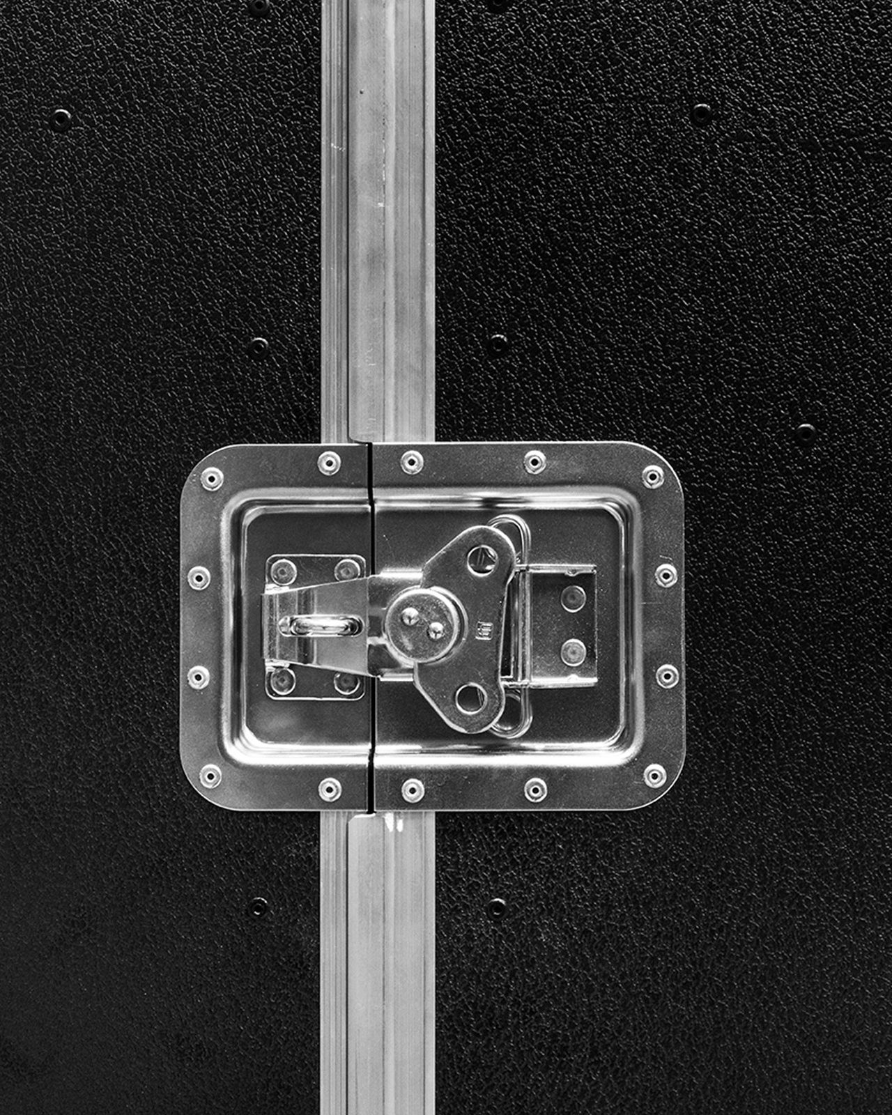 Double door vertical trunk