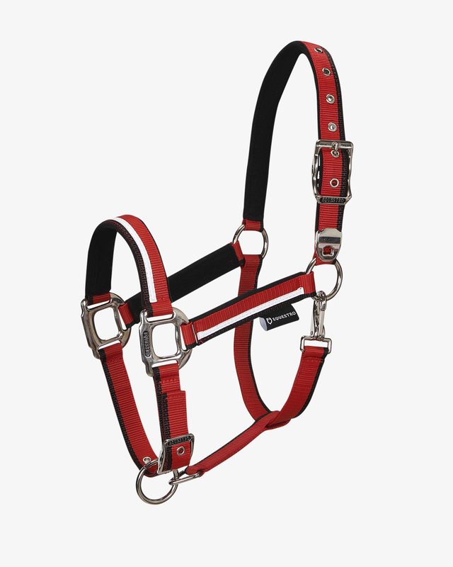 Halter with fleece padding and snap hook