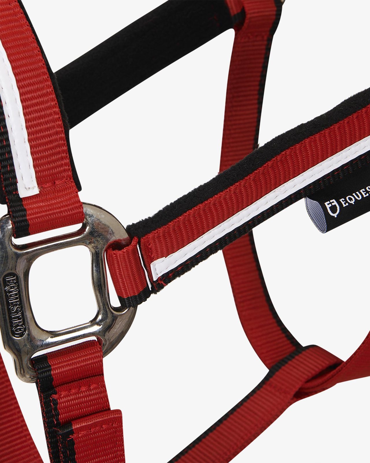 Halter with fleece padding and snap hook