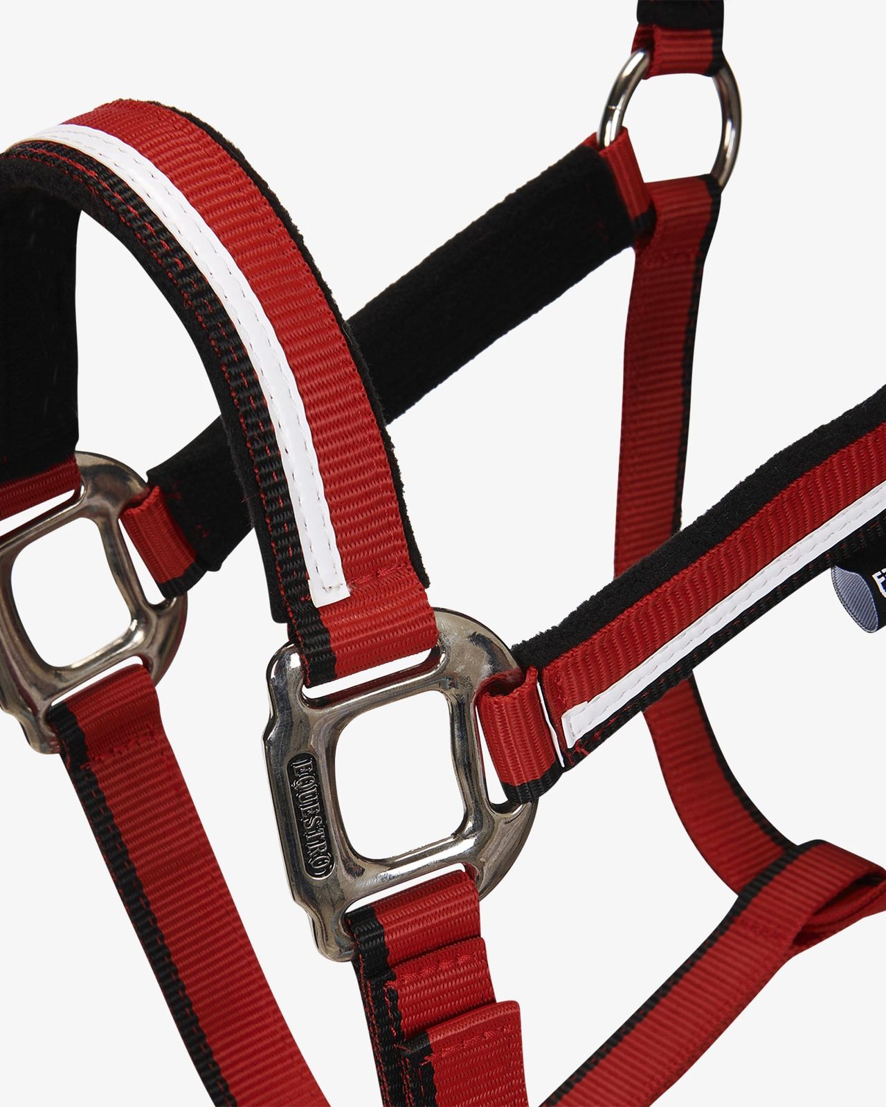 Halter with fleece padding and snap hook