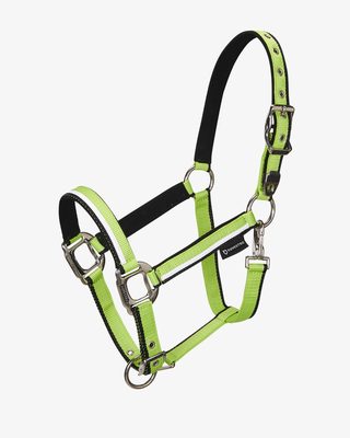 Halter with fleece padding and snap hook
