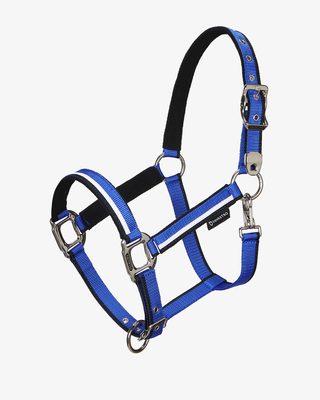Halter with fleece padding and snap hook