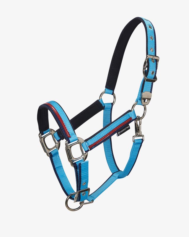 Double adjustment halter