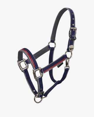 Double adjustment halter