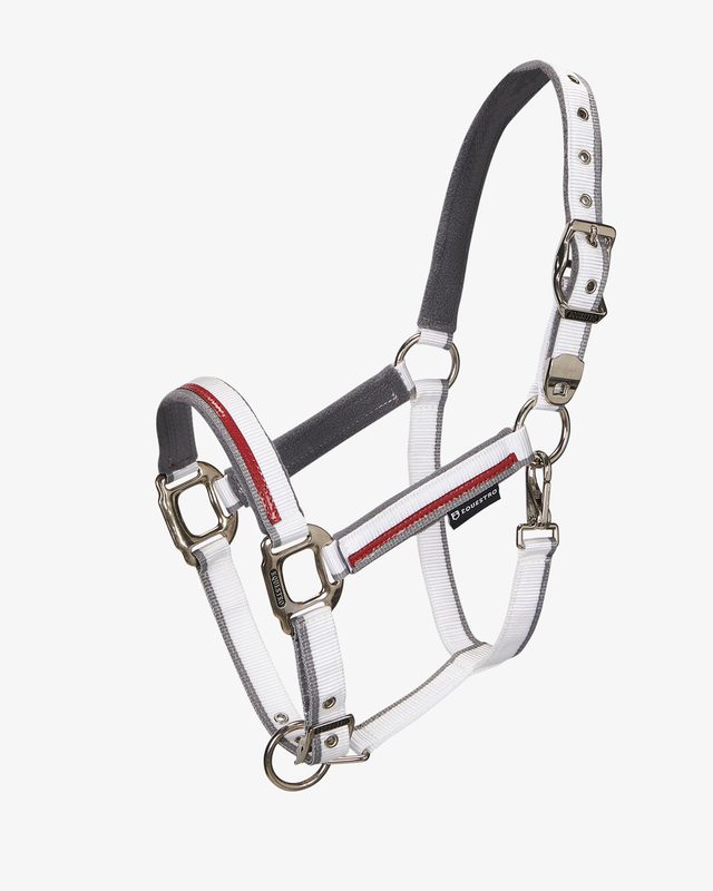 Double adjustment halter