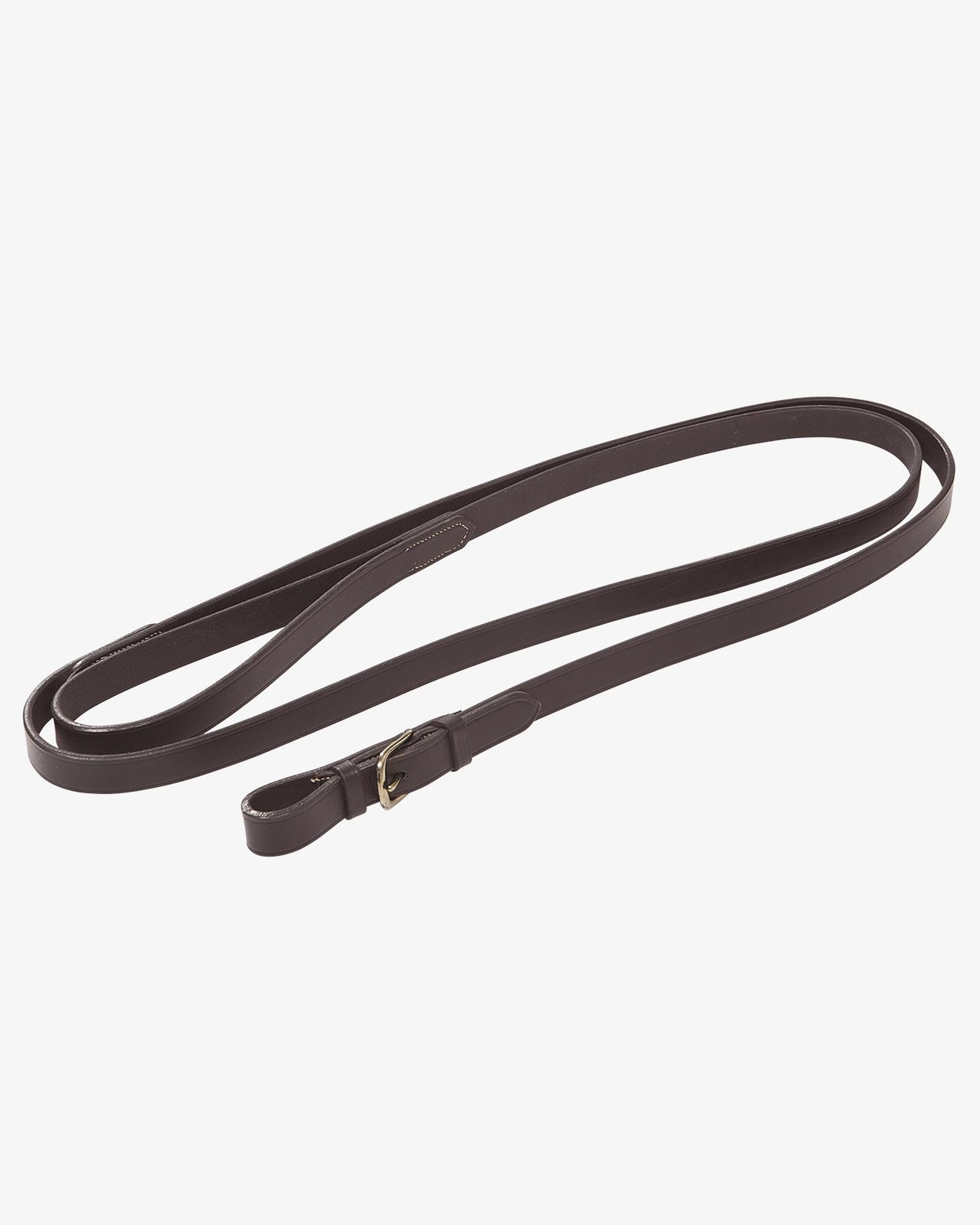 Lead rope with resistant brass chain