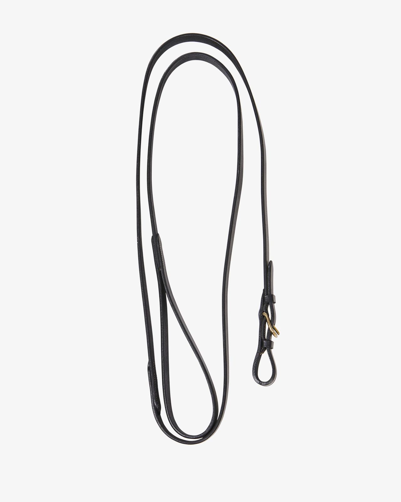 Lead rope with resistant brass chain