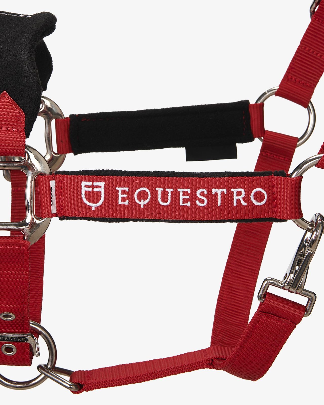 Halter with double adjustment and lead rope