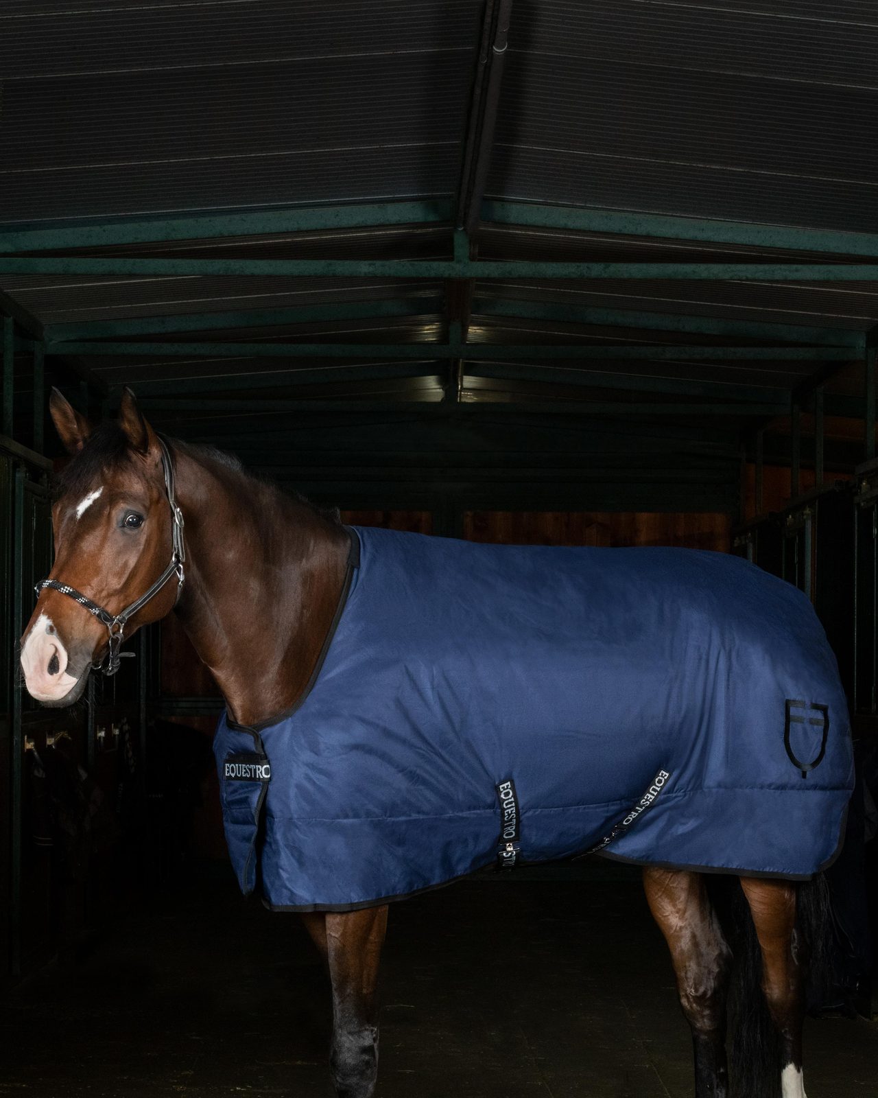 Rip-stop stable rug with logo
