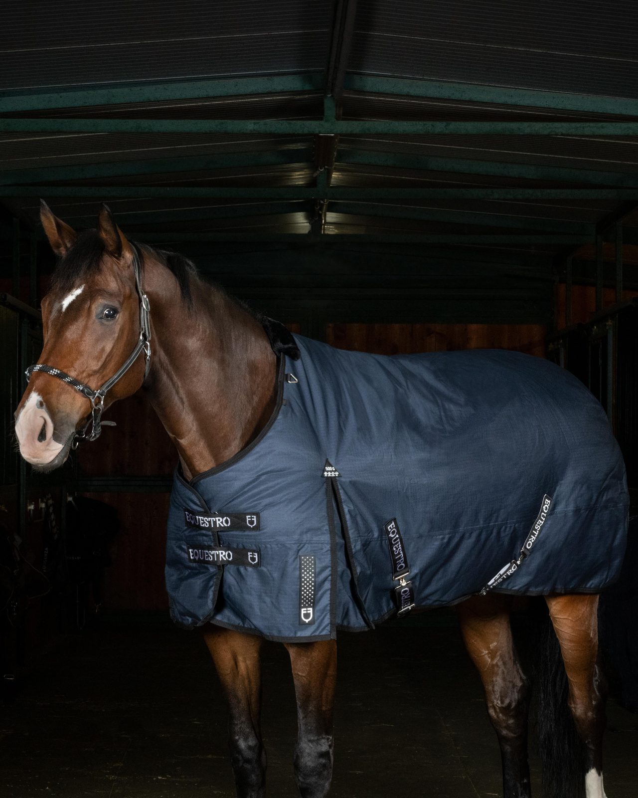 Coperta da paddock Alberta in tessuto antistrappo