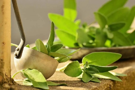 rimedi naturali dermatite da sudore