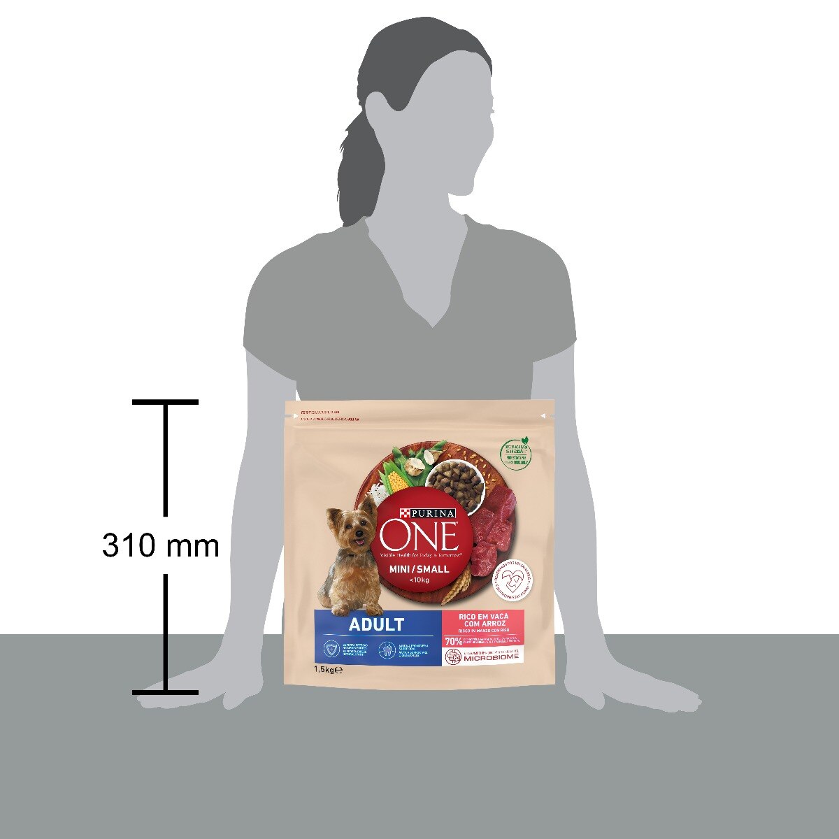PURINA ONE® MINI/SMALL < 10kg Adult Ricco in Manzo, Con Riso
