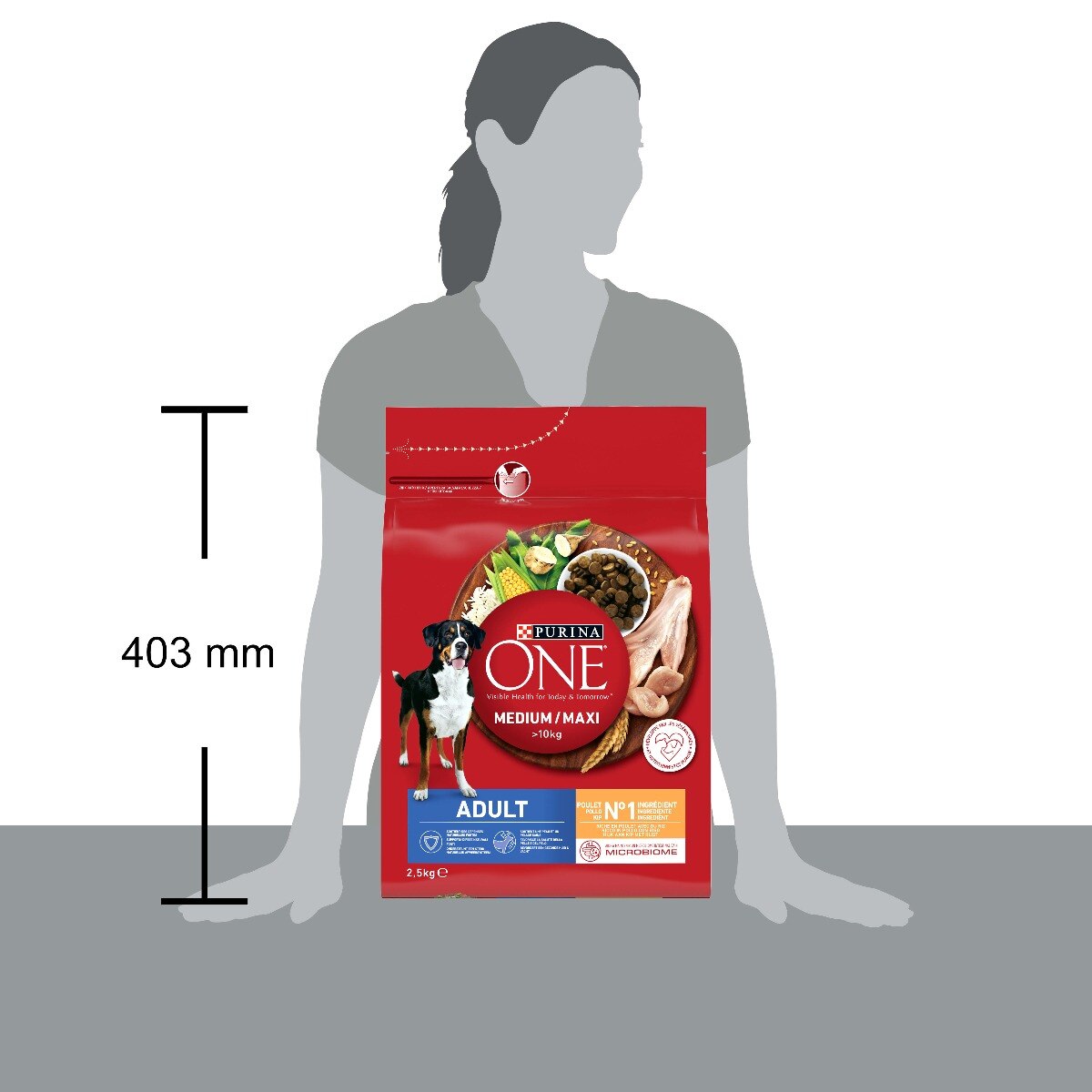 PURINA ONE® Medium / Maxi > 10kg Adult&nbsp;Ricco in&nbsp;Pollo con Riso