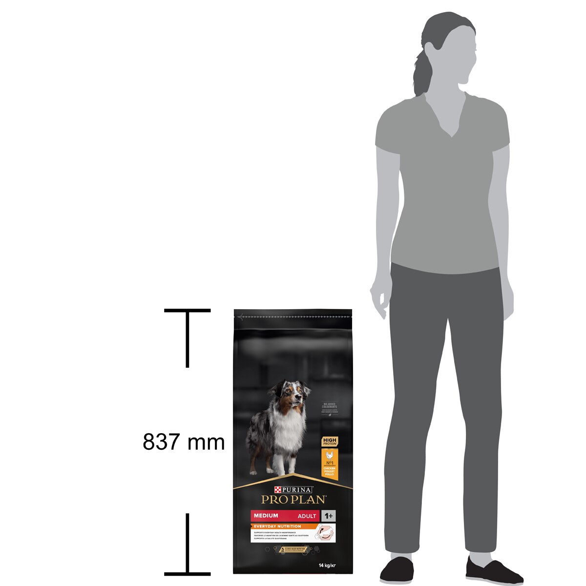 PURINA PRO PLAN® Medium Adult Everyday Nutrition Cane Crocchette