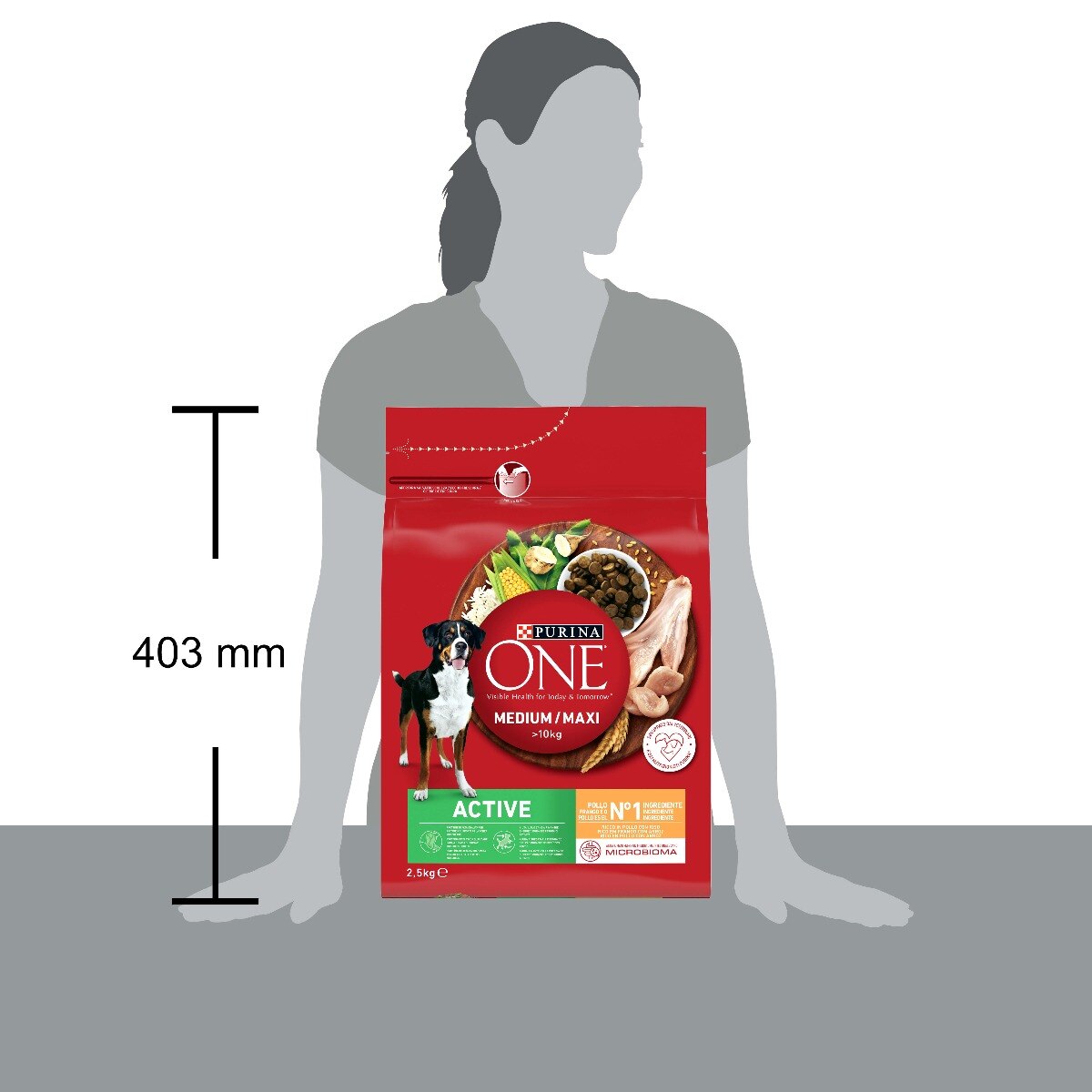 PURINA ONE®&nbsp;Medium / Maxi&nbsp;> 10kg Active Ricco in&nbsp;Pollo con Riso