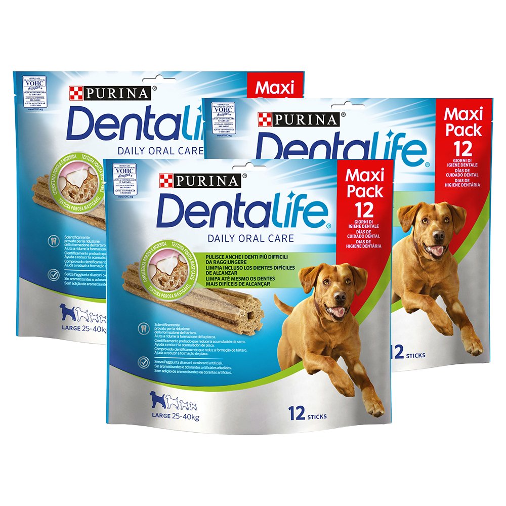 Kit DENTALIFE Cane Snack per l'igiene orale Taglia Large