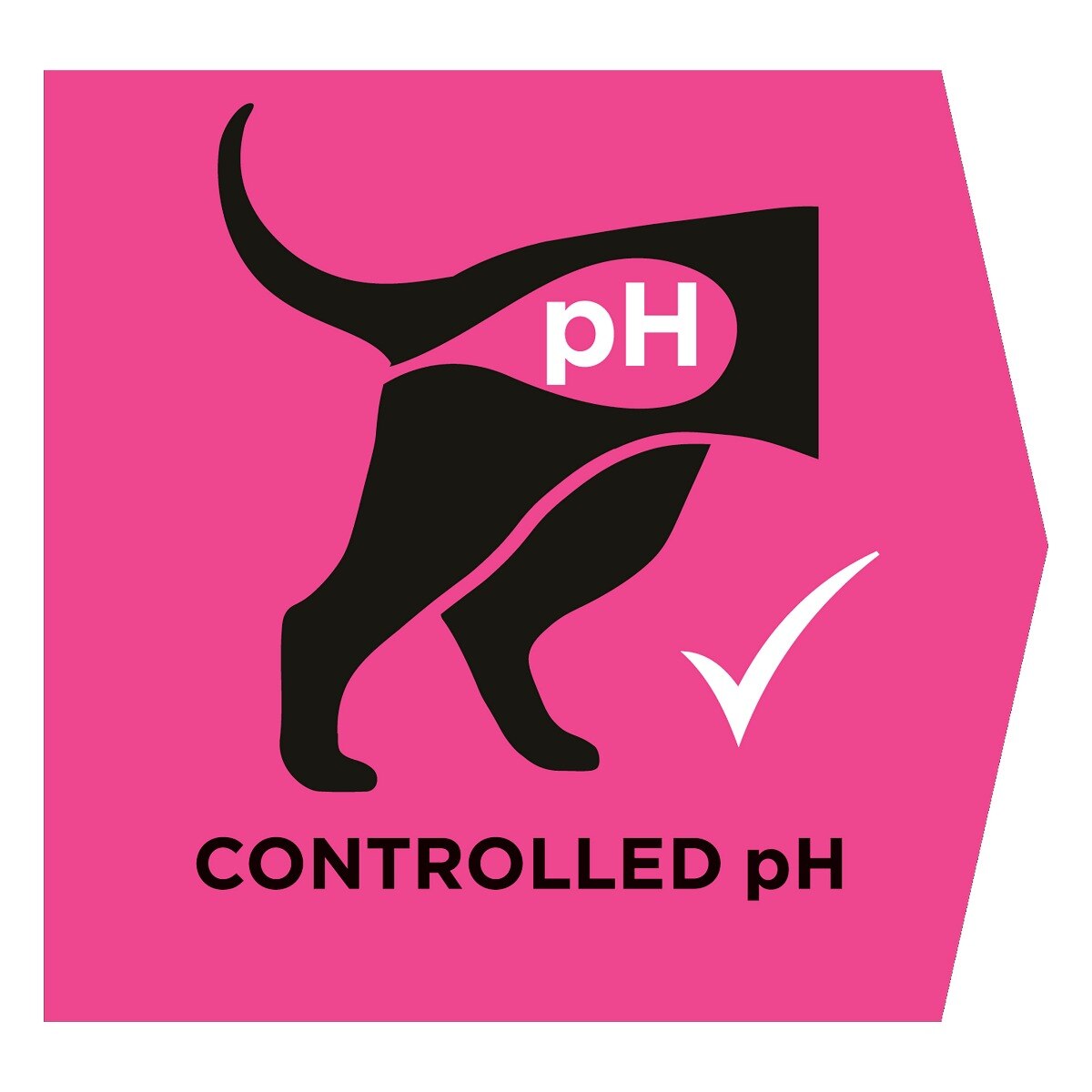 PURINA PRO PLAN® VETERINARY DIETS secco cane UR Urinary