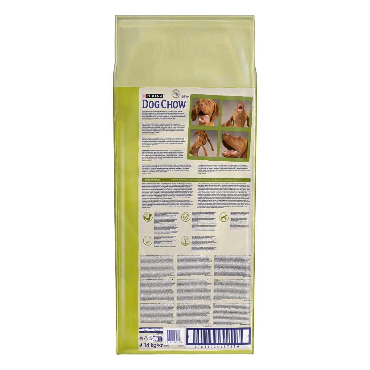 Dog Chow® Adult con Agnello