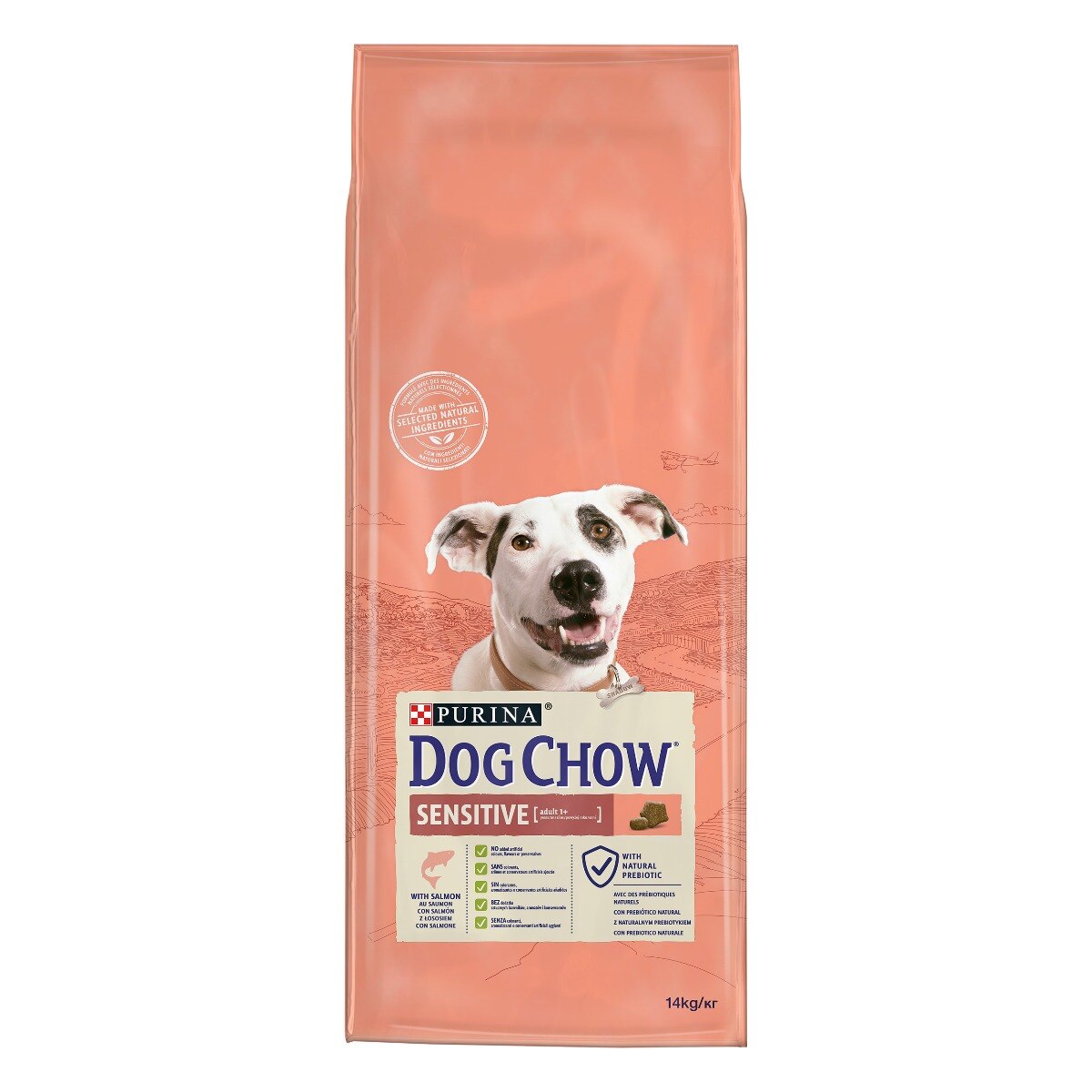 Dog Chow® Sensitive con Salmone