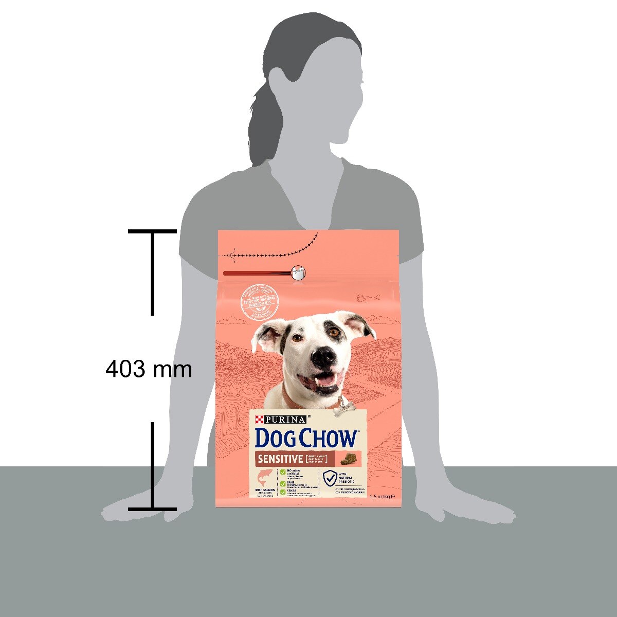 Dog Chow® Sensitive con Salmone