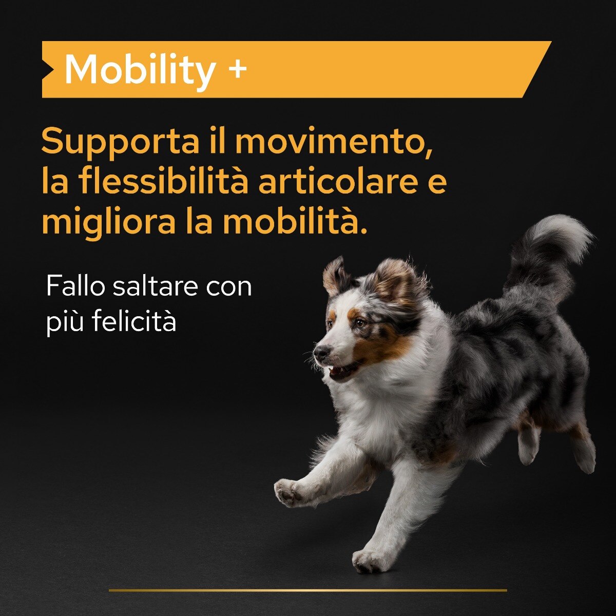 PRO PLAN DOG SUPPLEMENT MOBILITY +

