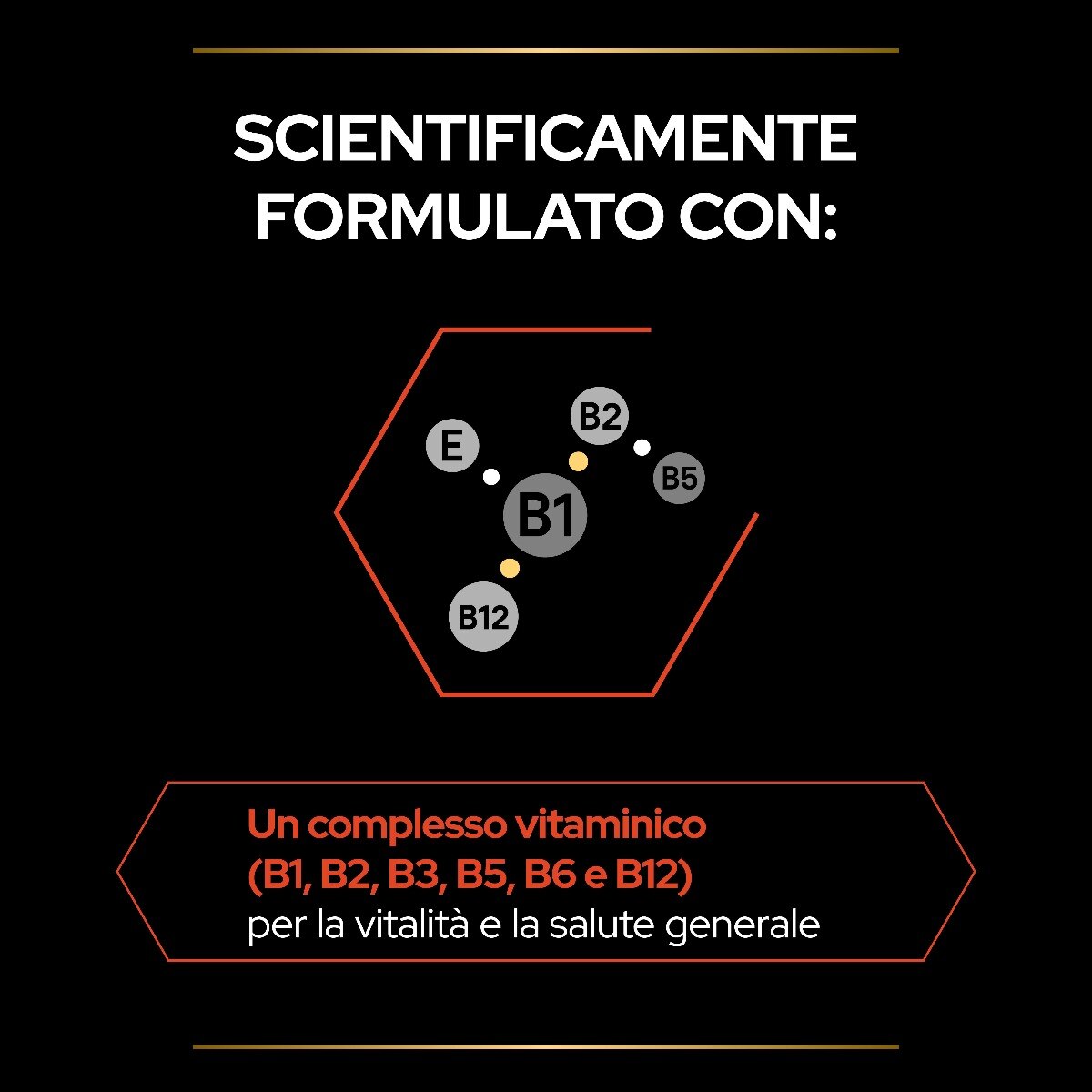 PRO PLAN CAT SUPPLEMENT MULTIVITAMIN +




