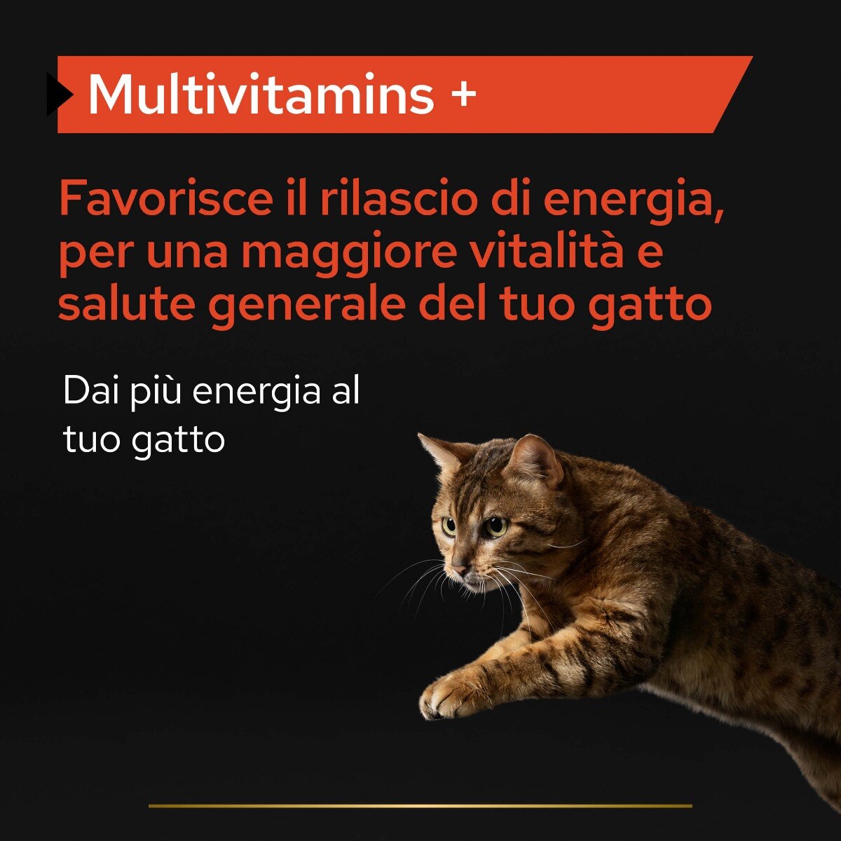 PRO PLAN CAT SUPPLEMENT MULTIVITAMIN +




