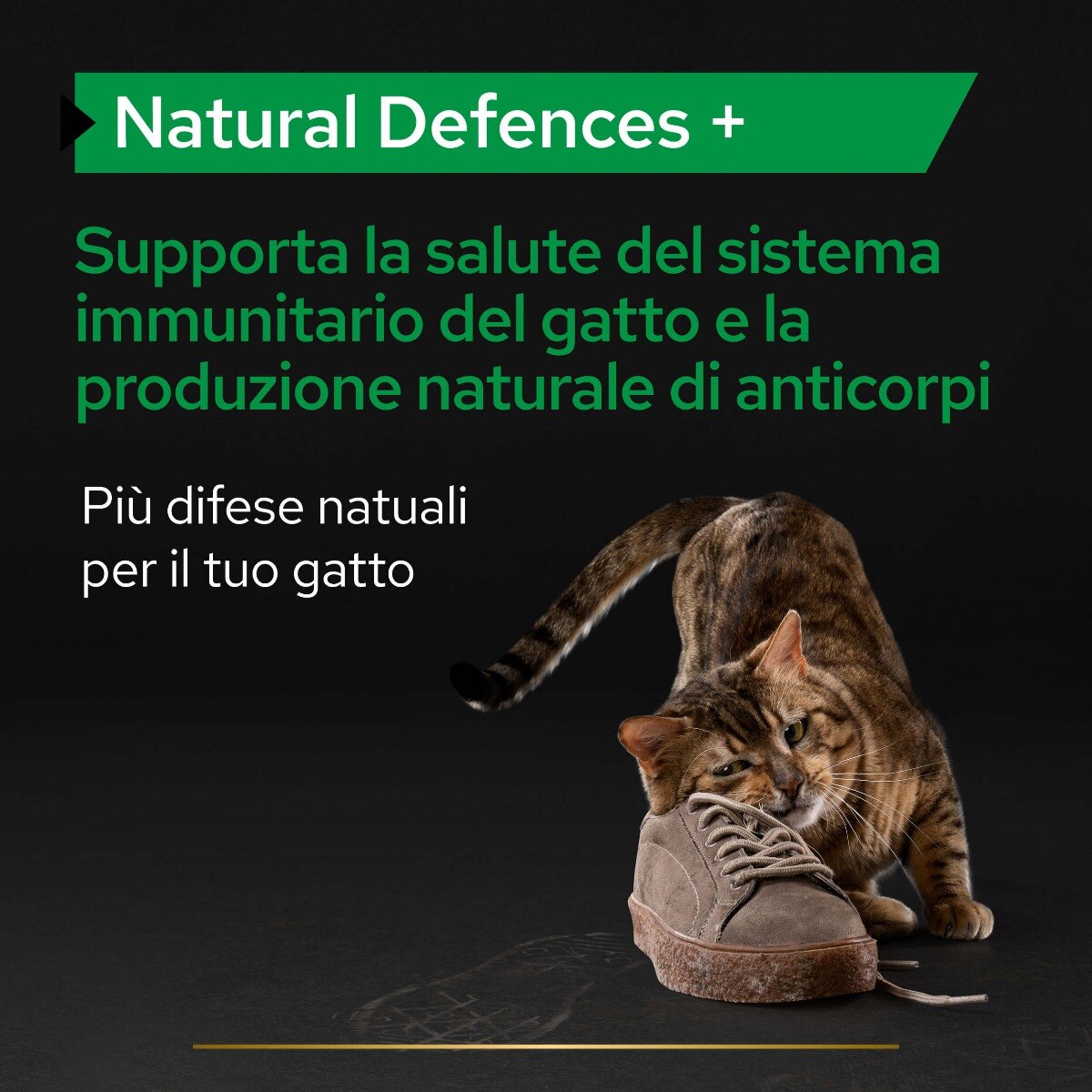 PRO PLAN CAT SUPPLEMENT DEFENCES +




