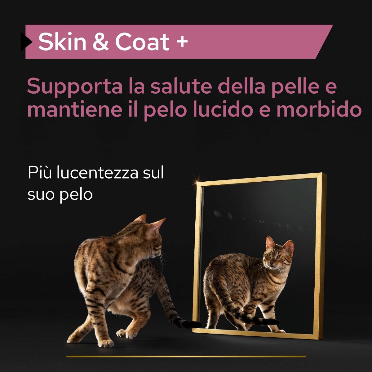PRO PLAN CAT SUPPLEMENT SKIN AND COAT +






