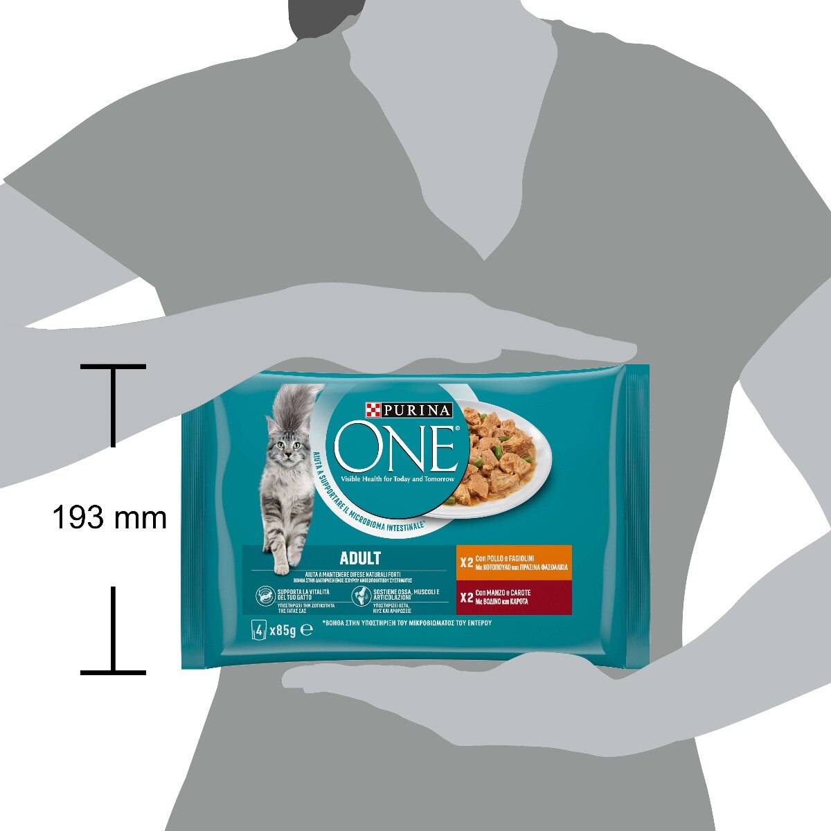 PURINA ONE® ADULT filettini in salsa con Pollo e Fagiolini, Manzo e Carote