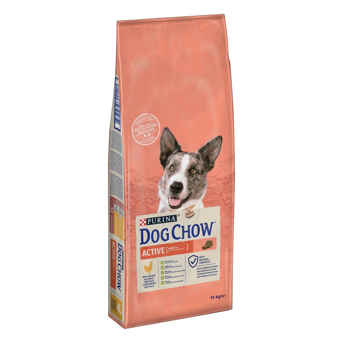 Dog Chow® Active con Pollo