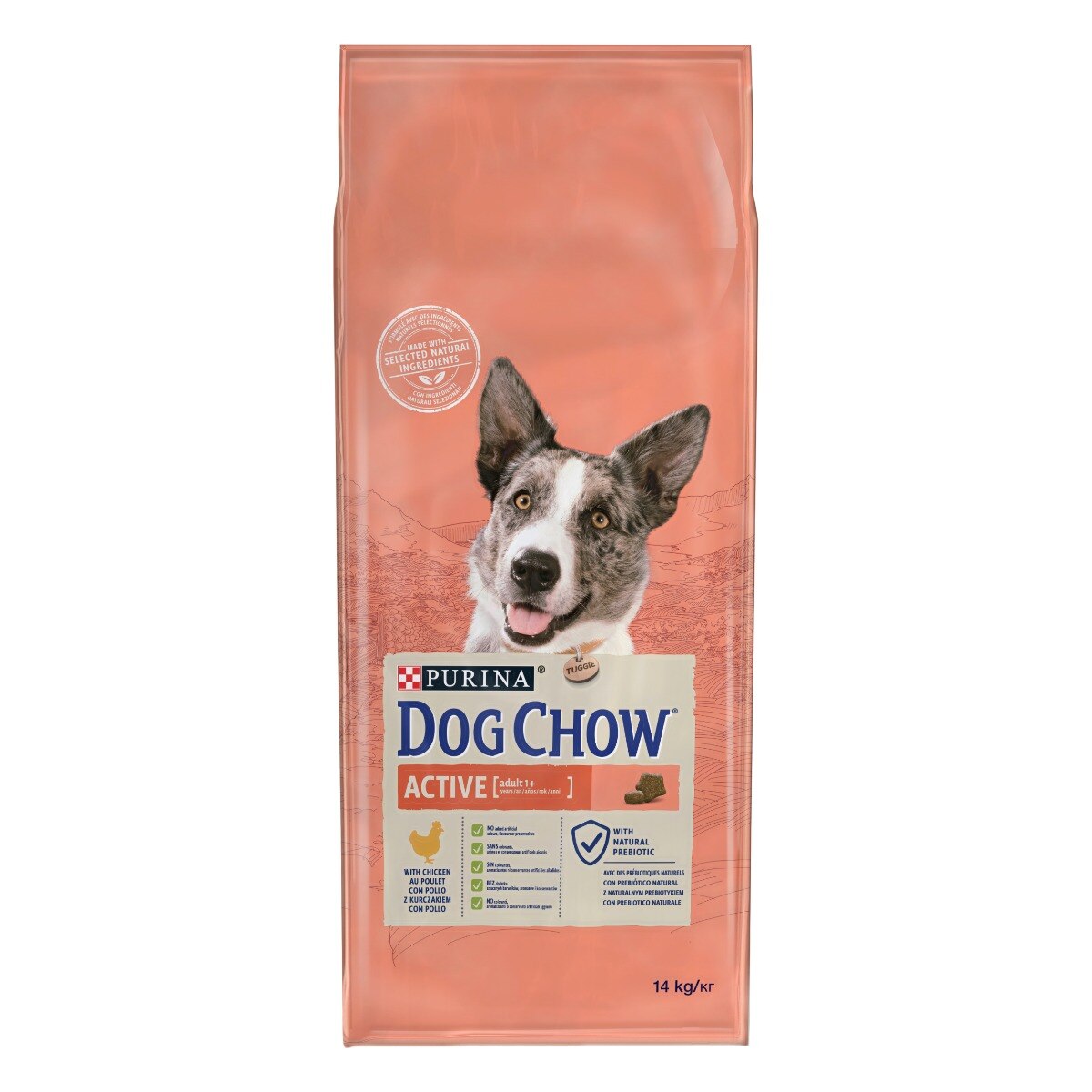 Dog Chow® Active con Pollo