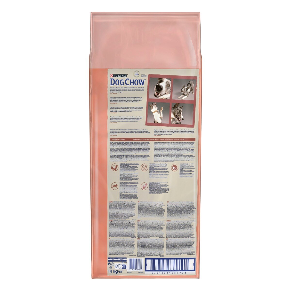 Dog Chow® Active con Pollo