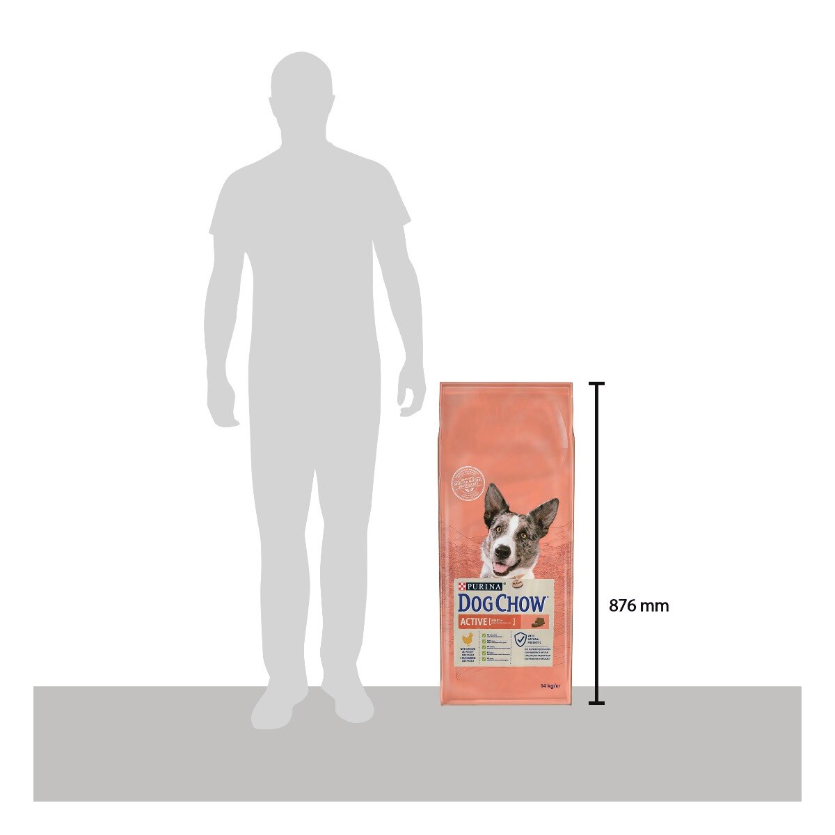 Dog Chow® Active con Pollo