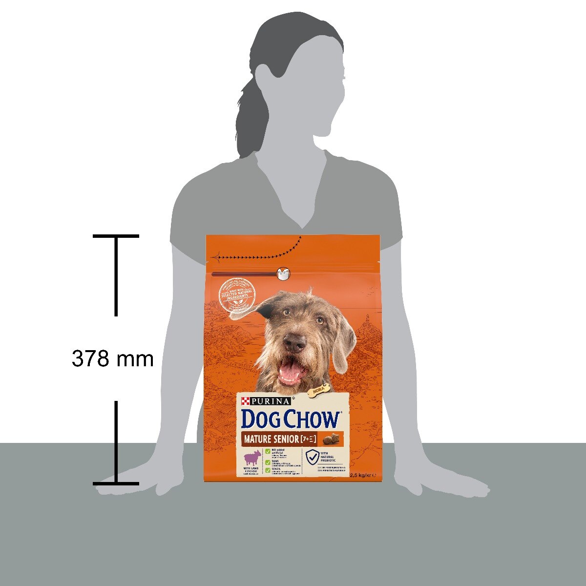 Dog Chow® Mature & Senior con Agnello