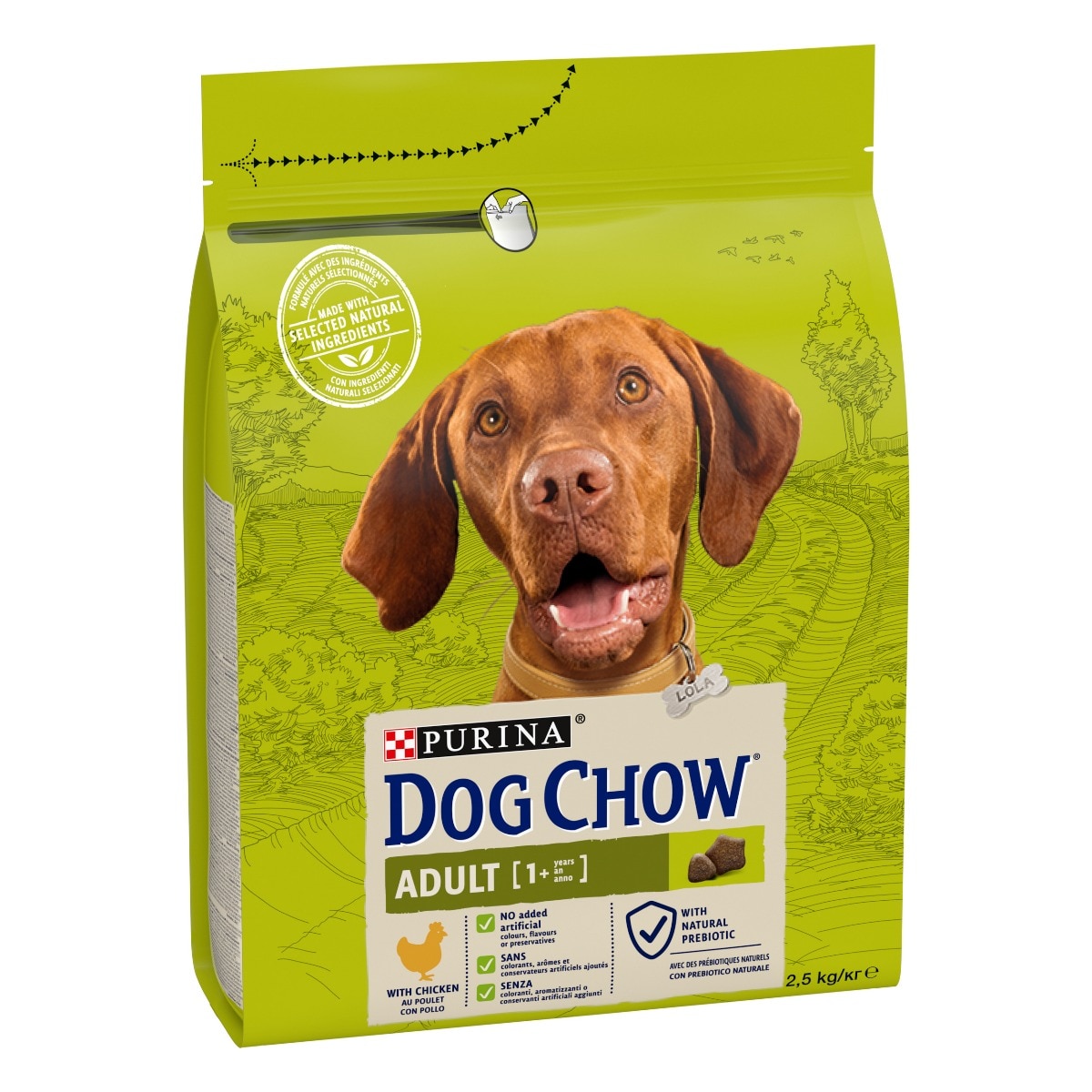 Dog Chow® Adult con Pollo