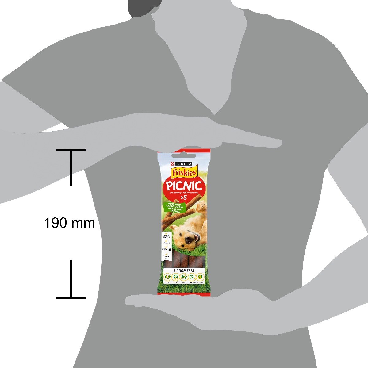 FRISKIES Picnic 5x Cane Snack Ricco in Manzo
