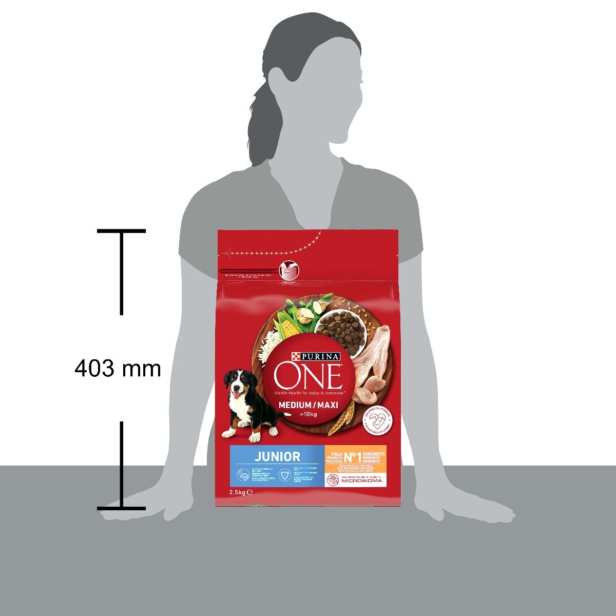 PURINA ONE®&nbsp;Medium / Maxi&nbsp;> 10kg&nbsp;Junior Ricco in&nbsp;Pollo con Riso