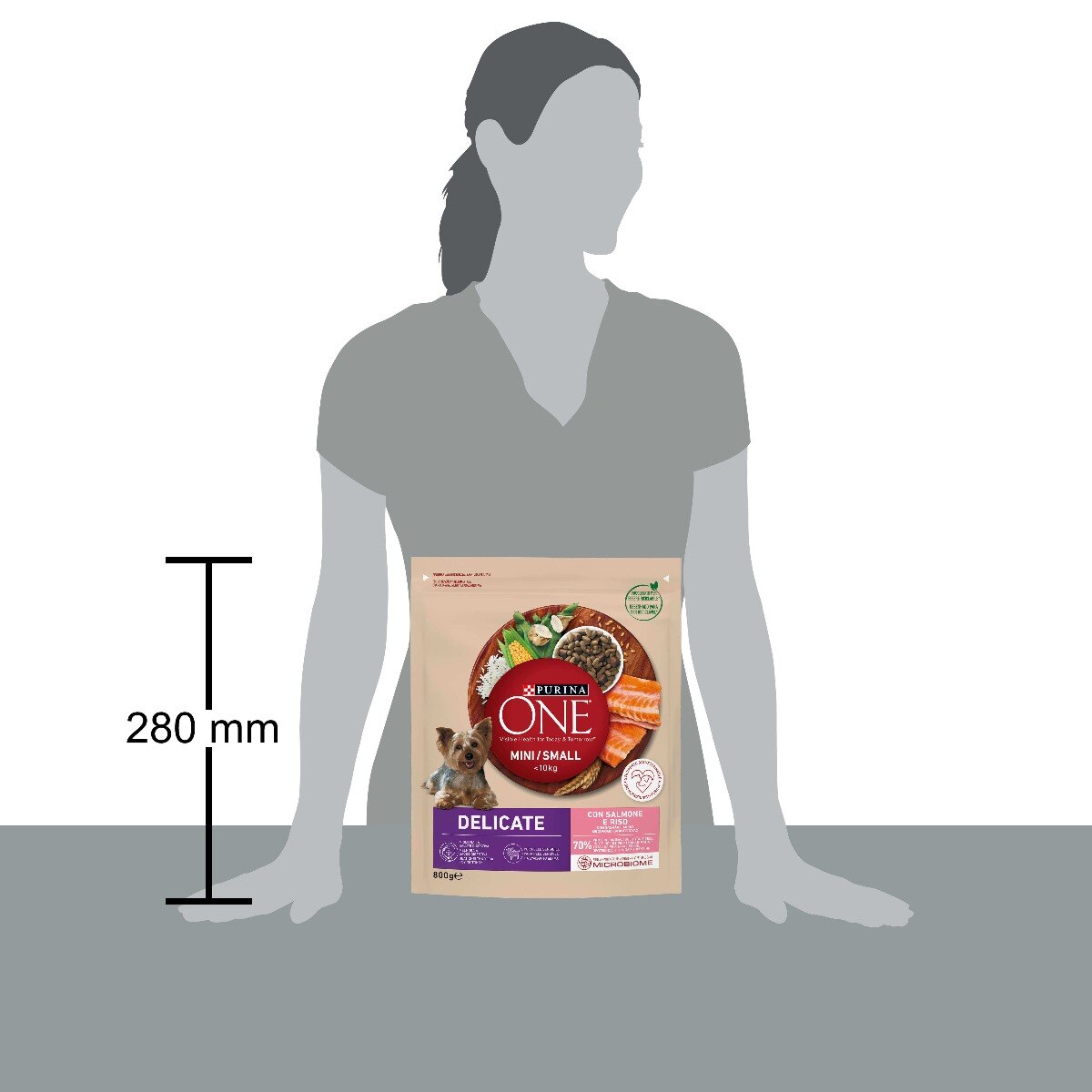 PURINA ONE® MINI/SMALL < 10kg Delicate Con Salmone e Riso