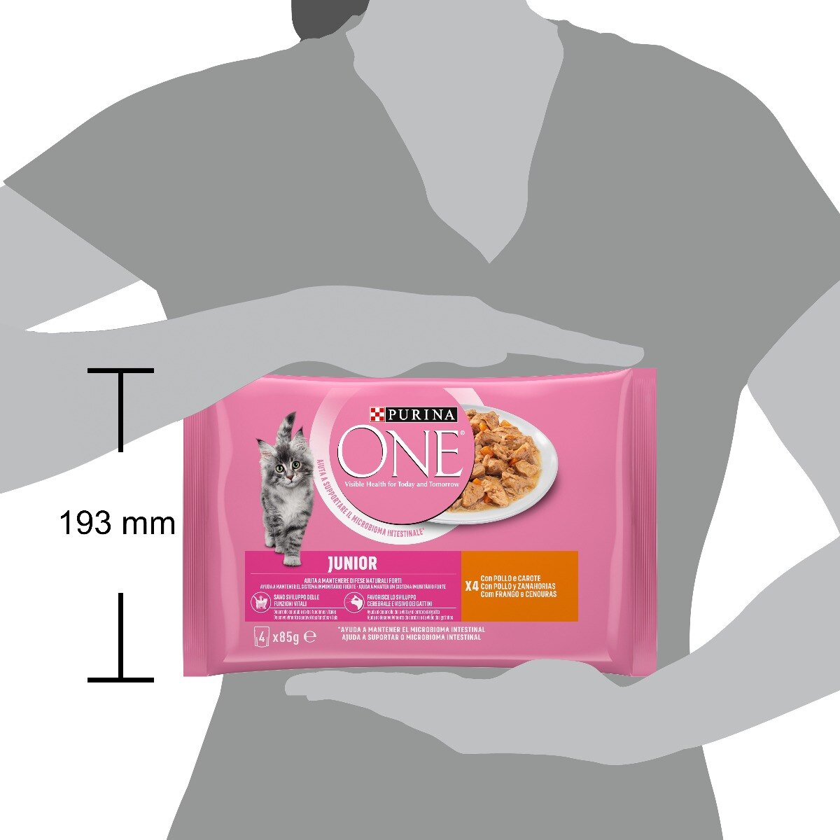 Cibo umido per gattino Junior – Purina ONE® Filettini in Salsa con Pollo e Carote 4x85 g