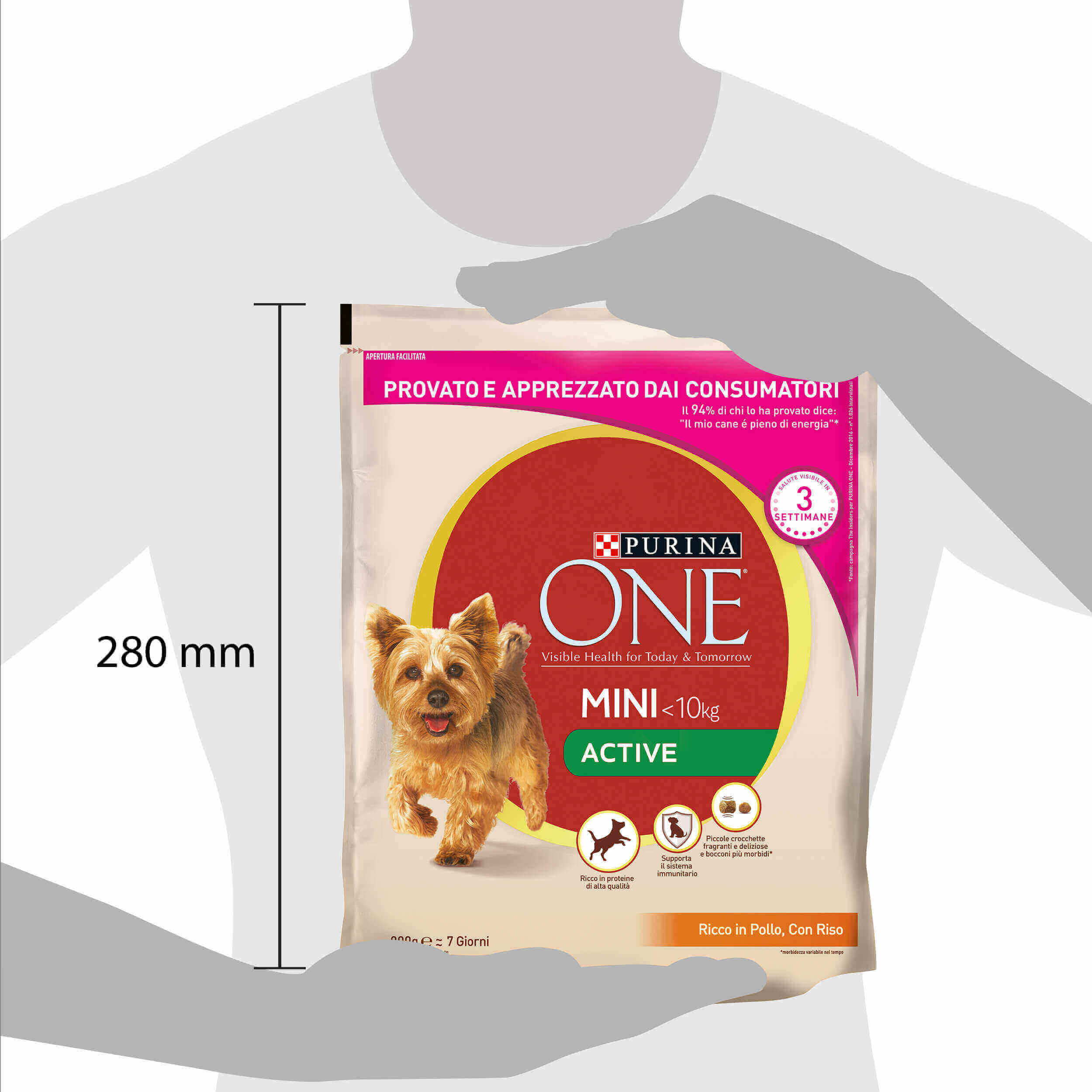 Purina one hot sale active