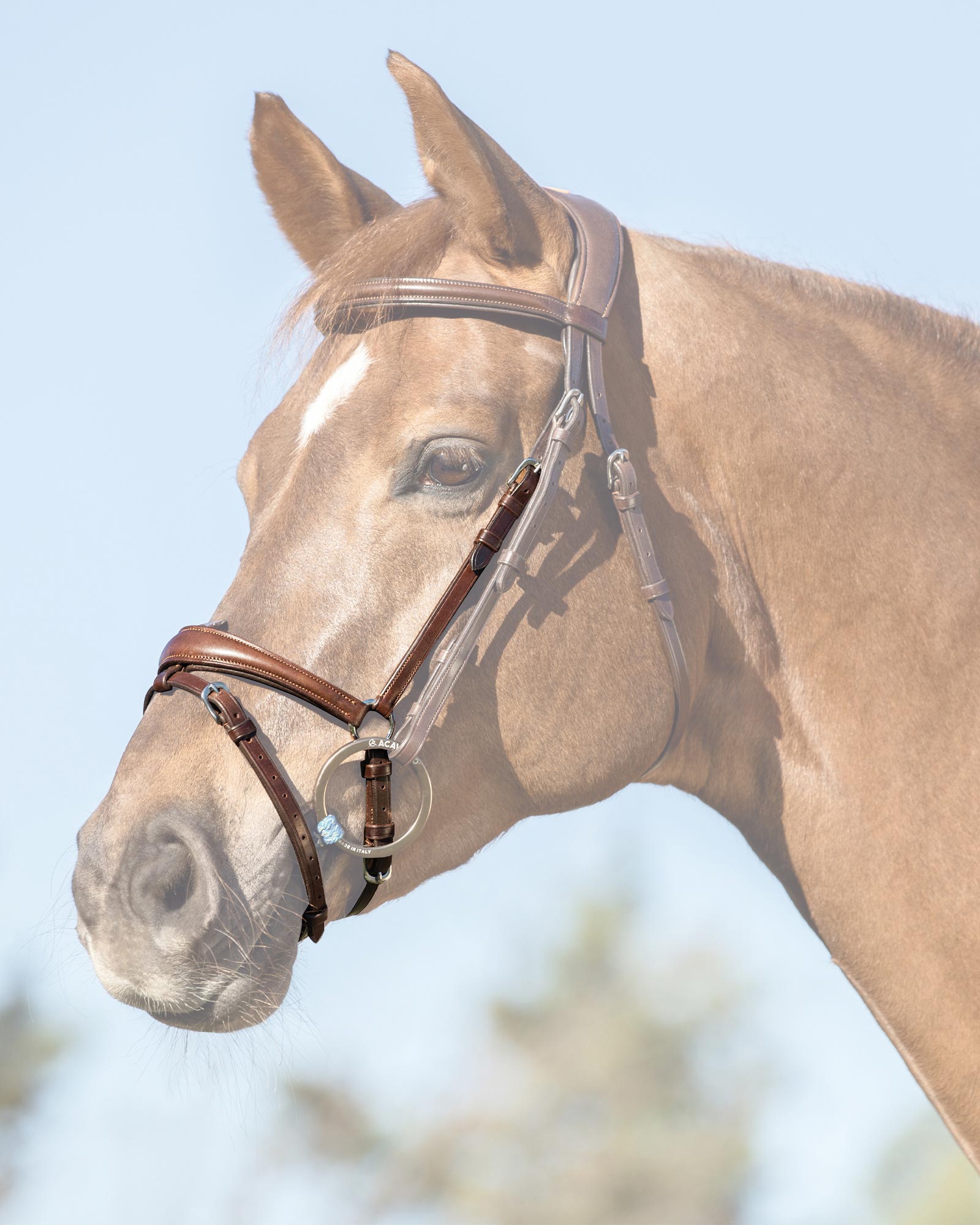 Flash noseband quick coupling