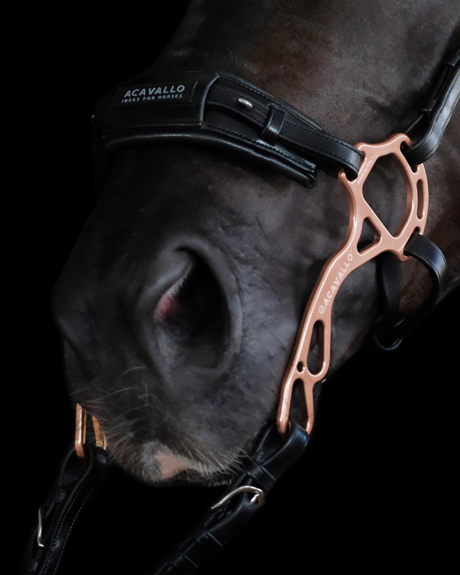 Reithalfter für Hackamore