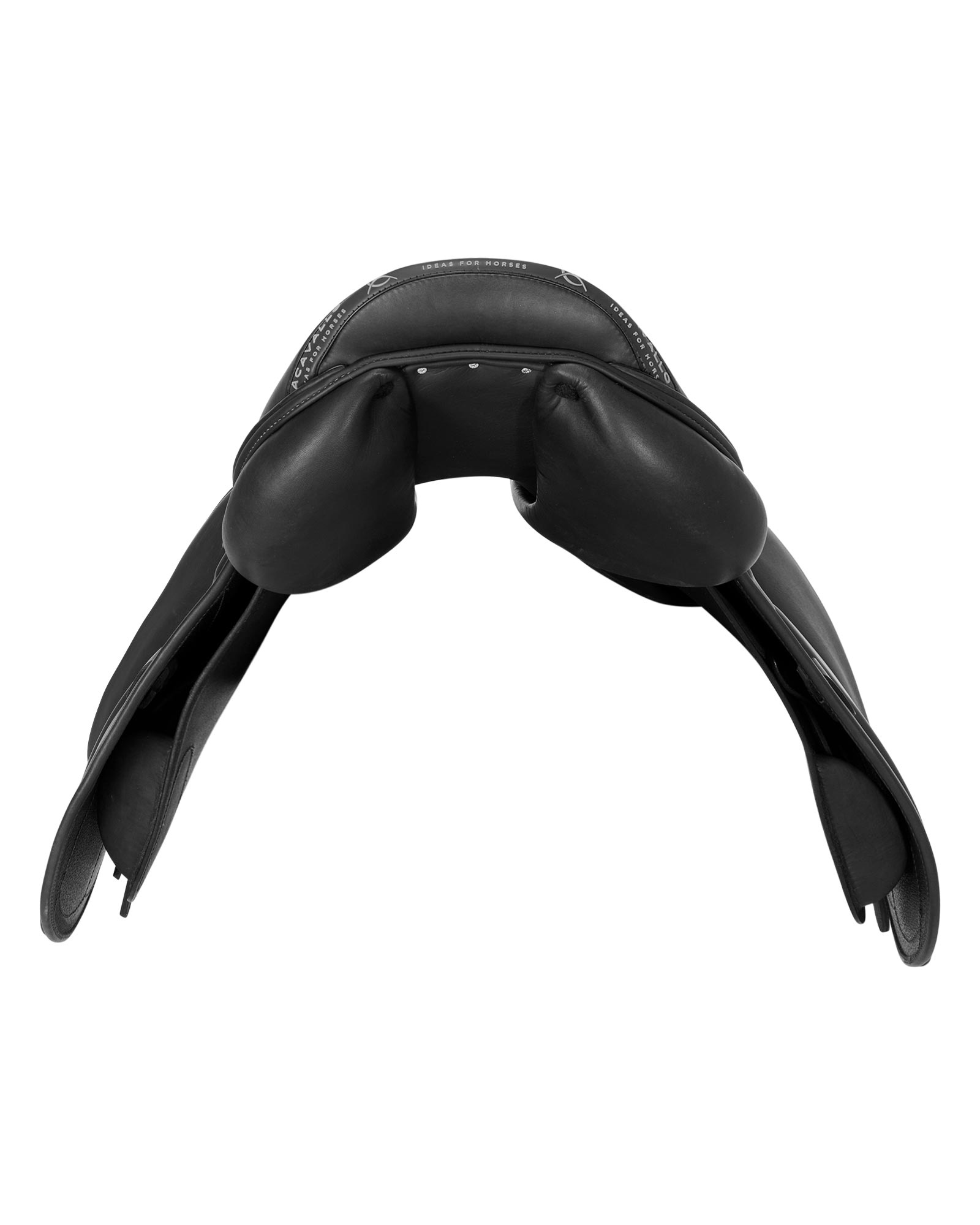 Modigliani jumping saddle latex panels
